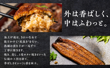 【定期便】蒲焼き２尾３ヶ月連続お届け うなぎ晴々 新仔 うなぎ 