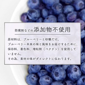 数量限定！ 無添加 ブルーベリージャム 3個 180g×3個 果物 フルーツ ブルーベリー ジャム 5500円