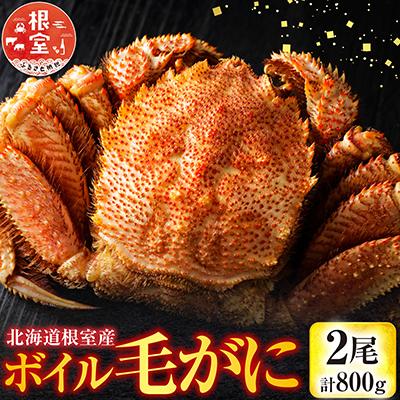 ふるさと納税 根室市 【北海道根室産】ボイル毛がに2尾(計800g) F-42016