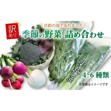 【訳あり】季節の野菜セット4～6品　京都府久御山町産【配送不可地域：離島】【1615125】