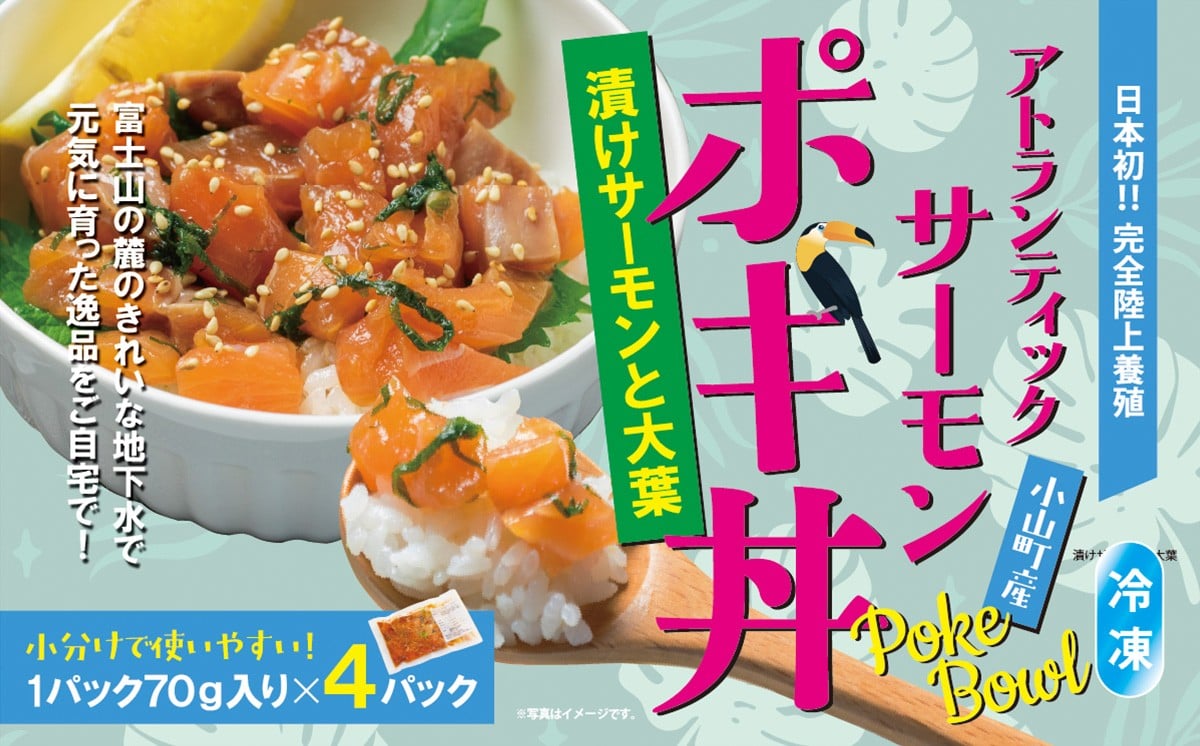 
            日本初 完全陸上養殖 小山町産 アトランティックサーモン 冷凍 ポキ丼 （ 70g × 4パック ）漬けサーモンと大葉 | サーモン 刺身 海鮮丼 海鮮 魚介 アボカド さーもん 小分け 真空パック 人気 おすすめ ランキング リピート サーモン丼 国産 静岡県 小山町
          