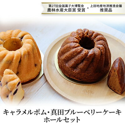 【ふるさと納税】ケーキ キャラメルポム 直径約11cm 真田ブルーベリーケーキ ホールセット 上田市産果物使用 お菓子 洋菓子 農林水産大臣賞受賞 長野県上田市