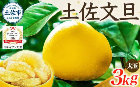 【先行予約】土佐文旦 家庭用 3kg 大玉（3L?2L） 文旦[BQAC001]