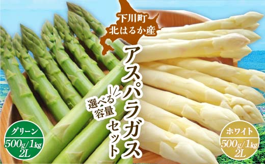 
            【先行予約】令和8年産 グリーン・ホワイトアスパラセット 選べる 1kg ～ 2kg （グリーンアスパラ Lサイズ・ホワイトアスパラ 2Lサイズ）野菜 やさい ふるさと 納税 国産 北海道産 北海道 下川町 F4G-0287var
          