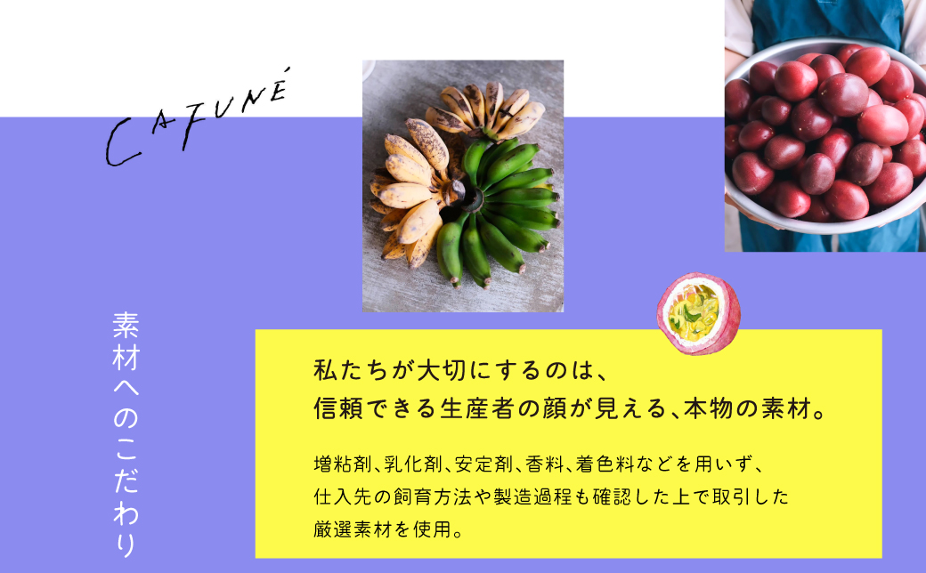 添加剤不使用 CAFUNÉ アイスクリーム 6個セット | 沖縄の食材 国産 厳選素材 手づくり アイス クラフトアイスクリーム | デザート アレンジ 贈り物 ギフト | 沖縄県 宜野湾市 送料無料