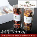 【ふるさと納税】 ブラウニー チョコレート ショコラ スイーツ チョコレートブラウニー 人気 2種 2本 おやつ ショコラティエ マサール Chocolatier Masale ショコラブラウニーセット 北海道 札幌市