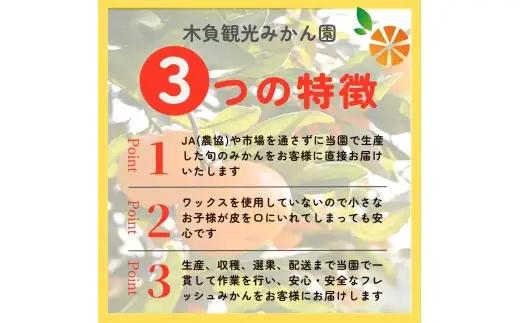 由良 みかん 3kg 【贈答用】 みかん 沼津 静岡
