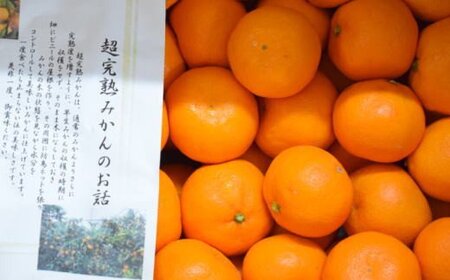 果物 くだもの フルーツ 蜜柑 みかん / 【濃厚・まろやか】有田産樹上越冬完熟みかん5kg（2S～Mサイズ混合・秀品） 【tec873A】