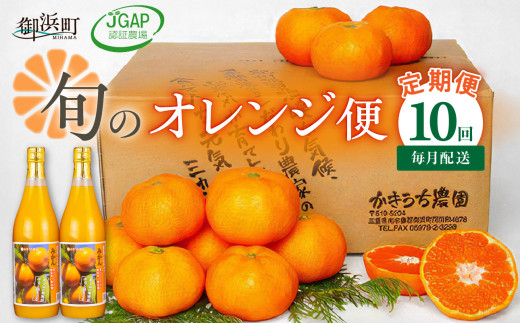 かきうち農園のオレンジ便（全10回）【果物 フルーツ みかん オレンジ デザート みかんジュース オレンジジュース 定期便 定期 10回 三重県 御浜町】