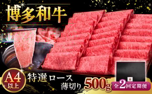 【全2回定期便】A4ランク以上 博多和牛 特選ロース 薄切り 500g ▼ 牛肉 肉 にく お肉  国産 牛 ロース すき焼き しゃぶしゃぶ 高級 和牛 記念日 定期便 桂川町/久田精肉店 [ADBM061]
