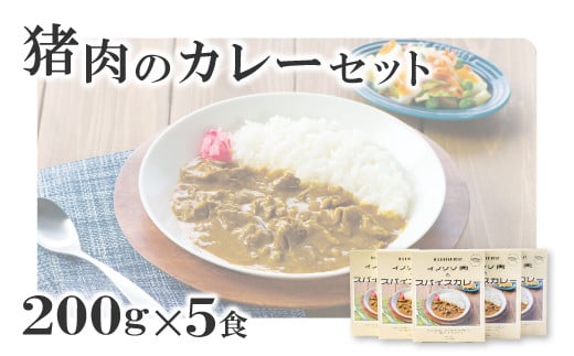 イノシシ肉のカレーセット【スパイスカレー 200g×5個 肉 イノシシ肉 天然 ジビエ 加工食品 レトルト 温めるだけ 簡単調理 気軽】