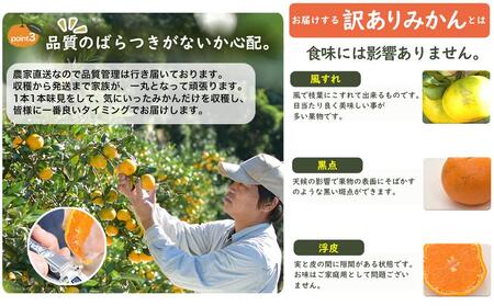 下津蔵出しみかん５kg  混合サイズ　ちょっと訳ありご家庭用　農園直送