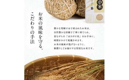 【定期便3ヶ月】ななつぼし 無洗米 20kg（10kg×2袋） 2026年6月発送開始 雪冷気 籾貯蔵 雪中米 北海道 nr-1484