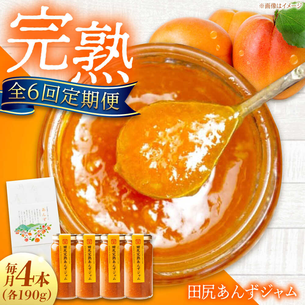 【ふるさと納税】【全6回定期便】 ジャム 田尻完熟あんずジャム (4本) ジャム 果物 あんず パン 甘い 菓子 朝ごはん おすすめ 人気 フルーツジャム トースト ヨーグルト パンケーキ 瓶詰め ギフト 贈り物 定期便 送料無料 広島県福山市/有限会社勉強堂[BAFL009]
