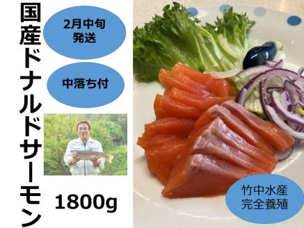 【2月中旬発送】国産ドナルドサーモン(生食用) 1800g 中落ち付 小分け ふるさと納税 サーモン 刺身 ふるさと納税 鮭 冷凍 さけ サケ 海鮮 魚 生食サーモン