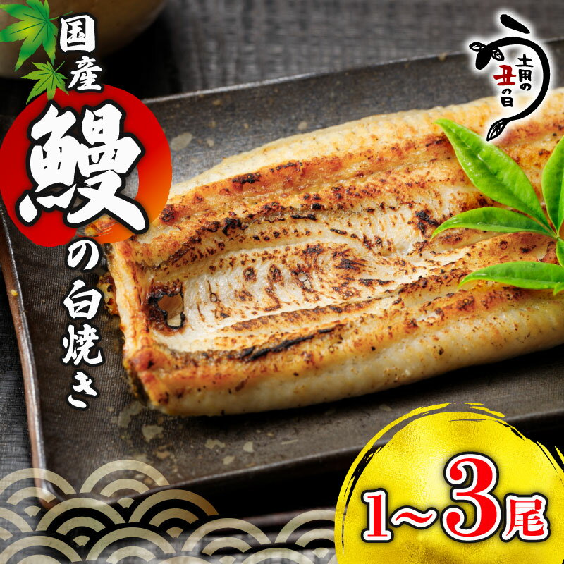 【ふるさと納税】 ＼最短7営業日以内発送／ 国産鰻 の 白焼き 国産うなぎ 選べる 1尾 / 2尾 /3尾 半身 カット 国産 うなぎ ウナギ 鰻 炭火焼 炭火 うなぎ白焼き うな重 蒲焼き ひつまぶし 白焼 丑の日 贈り物 贈答 ギフト プレゼント 真空パック 送料無料 千葉県 旭市 川千家