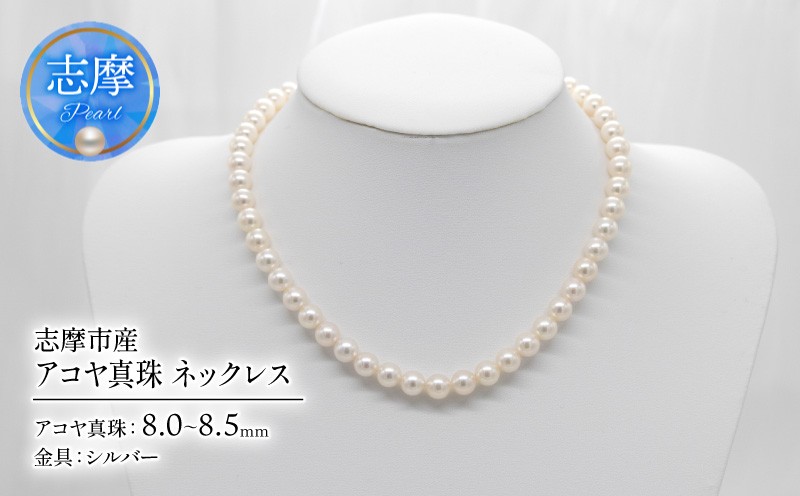 
                  アコヤ真珠 8-8.5mm ネックレス 志摩市産 パール アクセサリー ジュエリー 三重県 志摩市 伊勢志摩 あこや 真珠 フォーマル 入学式 卒業式 本真珠 / アコヤ真珠 8-8.5mm ネックレス
                