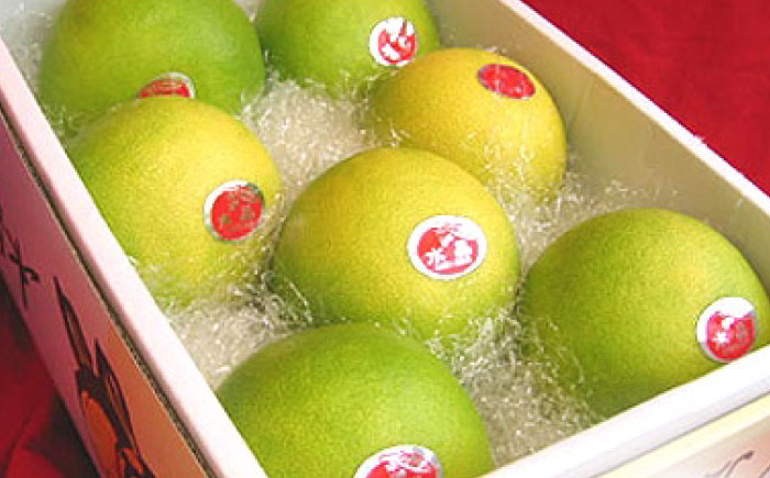 南国土佐の女王柑橘 水晶文旦 約3kg 7玉入り〈2025年9月中旬〜2025年12月下旬頃発送〉/ 文旦 ぶんたん フルーツ 果物 3キロ 高知県 【フルーツショップオザキ】 [ATAH006]