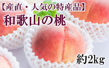 【定期便全3回】産直・和歌山フルーツ定期便（桃・ピオーネ・有田みかん） ※北海道・沖縄・離島への配送不可