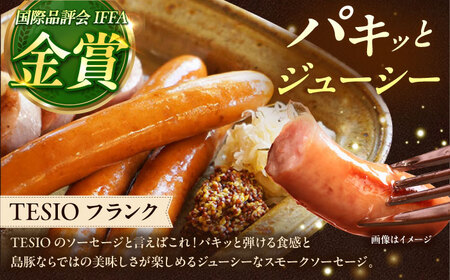 TESIOの自家製ハム＆ソーセージ 『手始めTESIOセット』 豚肉 ハム ソーセージ 小分け 真空パック 沖縄市 / TESIO[BCAD001]