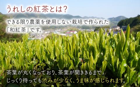 うれしの紅茶 5種 飲み比べセット B【うれしの紅茶振興協議会】 [NAP006]
