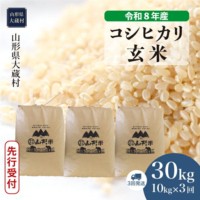 【ふるさと納税】＜令和8年産米先行受付＞ 大蔵村 コシヒカリ ＜玄米＞ 定期便 30kg （10kg×1ヶ月間隔で3回お届け）