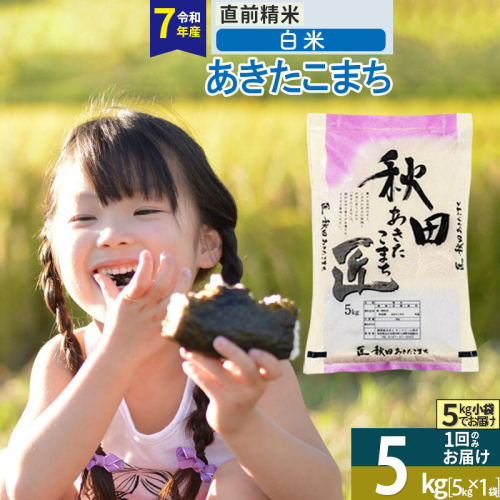 【白米】＜令和7年産＞ 秋田県産 あきたこまち 5kg (5kg×1袋) 5キロ お米 匠 精米5kg [サンファーム西木]