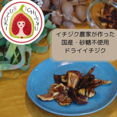 【ふるさと納税】愛知県産　ドライイチジク【1671575】
