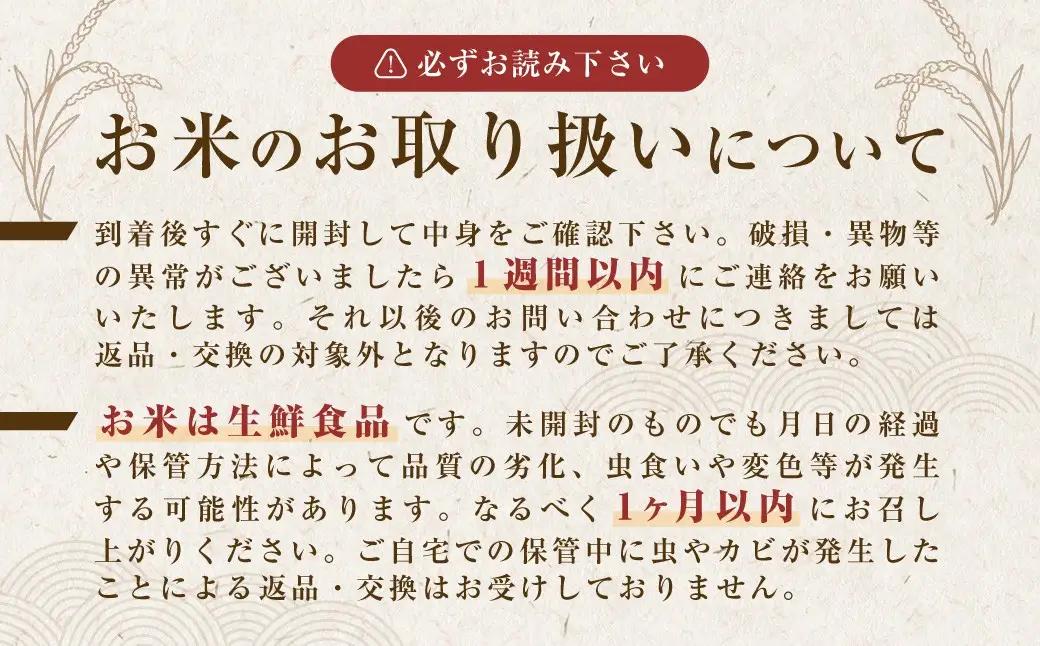 令和8年産 新米 姫髪の里 京都産 こしひかり 白米 計10kg 有限会社森成農産