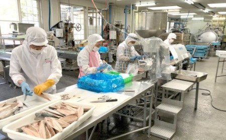 【三陸産】いわし缶詰【水煮・煮付け】10缶セット