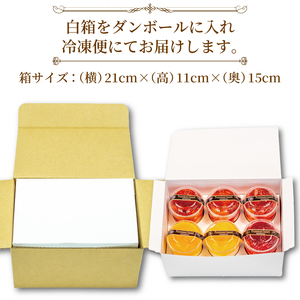 人気 の パフェ 6個 セット （ 苺 オレンジ フルーツ ） いちご 小分け 冷凍 手作り 冷凍スイーツ 冷凍デザート 果物 スイーツ デザート ゼリー カップケーキ ウィンズ・アーク 埼玉県 羽生