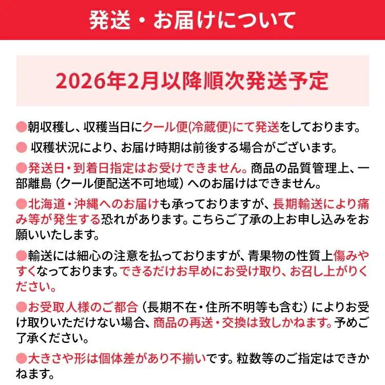いちご 大木町産あまおういちご 約270ｇ×4P【2026年2月以降発送】CL001