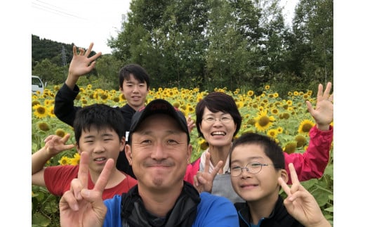 【A7081】＜特別栽培・期間限定＞北海道士別市産 朝採りグリーンアスパラ (M～2Lサイズ混合・500g) 【2026年5月以降順次発送】野菜 アスパラ アスパラガス グリーンアスパラ 北海道 北海