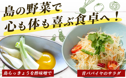 石垣島産 野菜BOX【６回定期便】（６~８種類）季節ごとに野菜パワーをあなたに！！CK-3 【野菜セット おまかせセット 旬 季節のお野菜 旬の野菜セット 詰め合わせ 定期便 ６回 定番野菜 島野菜 