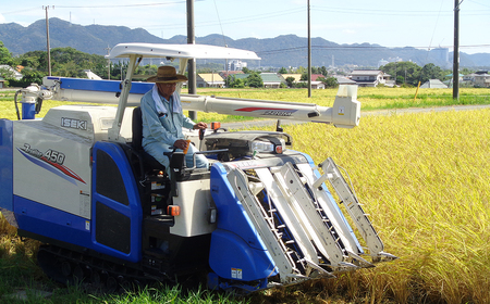 【令和7年産】嶺南ファームの定期便「夢ごこち」 5kg×6ヶ月　[0120-0013]