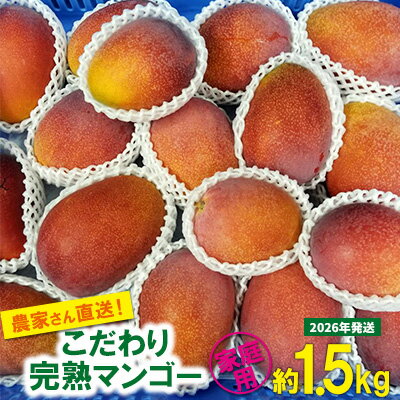 【ふるさと納税】【2026年発送先行予約】こだわりのアップルマンゴー　家庭用1.5kg　ふるいっと 数量限定 名護市 沖縄 フルーツ くだもの 果物 南国 スイーツ デザート 人気 おすすめ ギフト プレゼント 期間限定 おきなわ アップルマンゴー 家庭用 贈り物 大自然 お取り寄せ