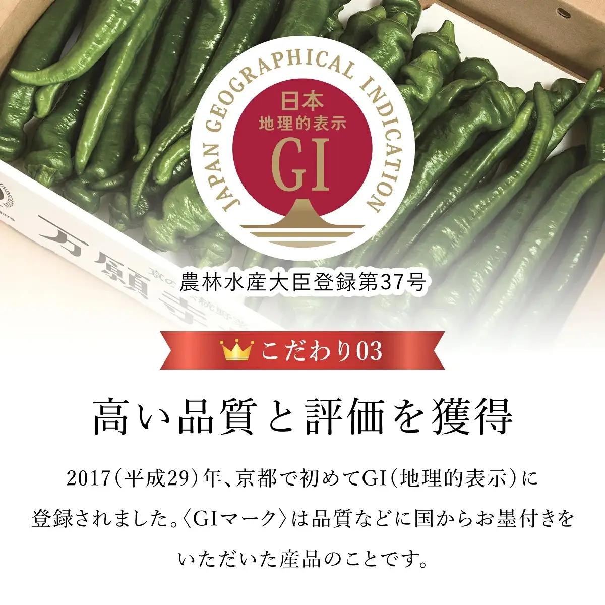 ＜2026年7月より順次発送予定＞ 万願寺甘とう 化粧箱入 秀品 計1.2kg 150g×8袋 京都丹の国農業協同組合