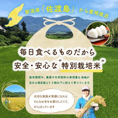 ふるさと納税 佐渡市 佐渡島産コシヒカリ 白米5Kg 農家直送(土屋農園)令和7年産 特別栽培米 【食の宝島佐渡】 |  | 01