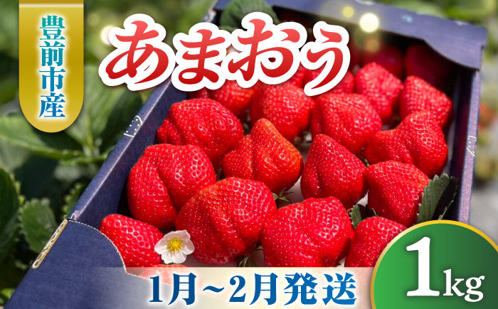 【先行予約】津田くん農園のあまおう 1㎏ 【2025年1月-2月発送】《豊前市》【株式会社くしだ企画】苺 いちご あまおう [VDG001]