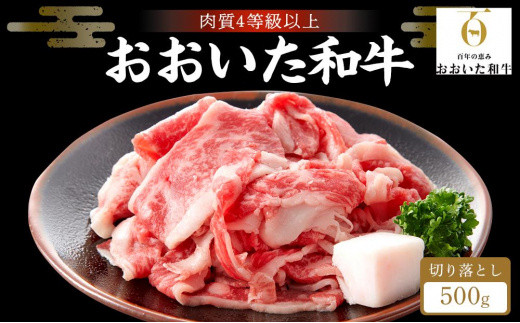 
【おおいた和牛】赤身（ウデ・モモ）切り落とし 500g｜肉質4等級以上 国産和牛
