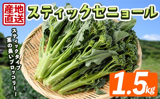 
                  ＜先行予約受付中！2026年11月上旬以降順次発送予定＞ スティックセニョール (1.5kg) 国産 鹿児島県産 阿久根市産 ブロッコリー 野菜 サラダ お弁当 ピクニック 産地直送 茎ブロッコリー 肉巻き 数量限定 期間限定 【うとさんち】akn067-25
                