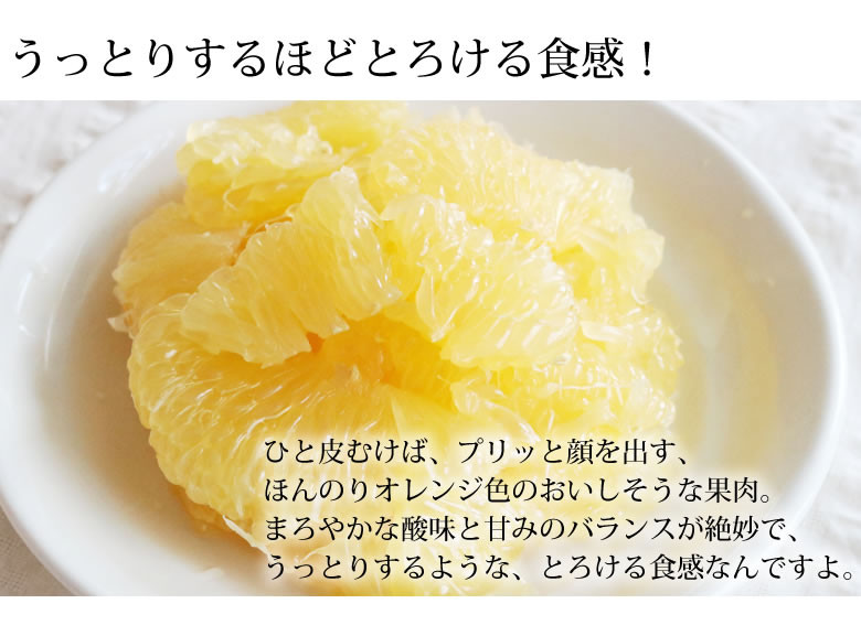 訳あり河内晩柑