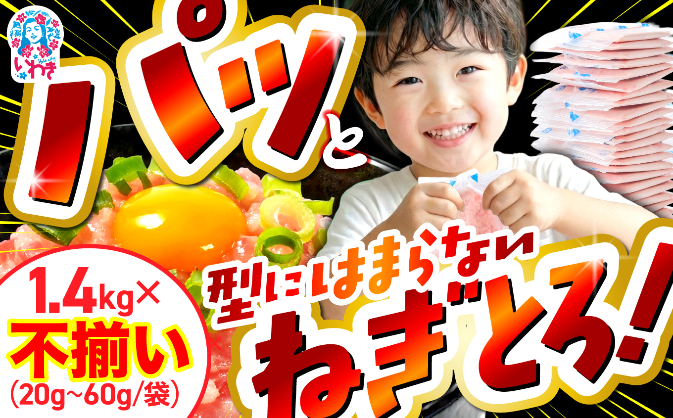 訳ありねぎとろ 不揃い使い切りパック詰め合わせ 約1.4kg | まぐろ まぐろたたき ネギトロ 簡単 調理 いわき市  小分け 冷凍 個包装 使い切りパック 不揃い 訳あり 詰め合わせ | DK011-1400g