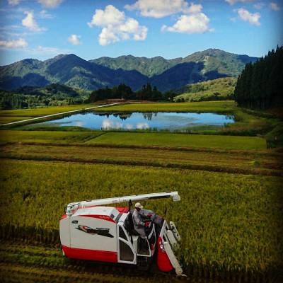 ふるさと納税 村上市 【新米受付・令和7年度産米】棚田米コシヒカリのパックごはん8個　新潟県村上市岩船産　1067110N |  | 01