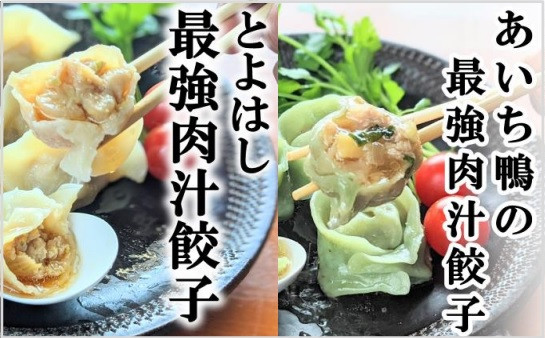 
最強肉汁味くらべ『とよはし最強肉汁餃子』と『あいち鴨の最強肉汁餃子の肉汁餃子』（各１箱セット）
