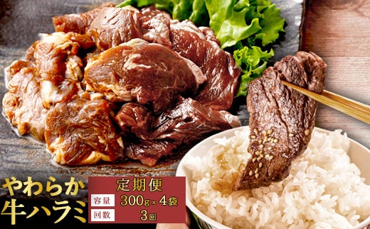 【３回定期便】やわらか 牛ハラミ（サガリ）肉 極旨秘伝醤油タレ漬け（300g×4袋）訳あり ハラミ 牛肉 個包装 焼肉 CS-032