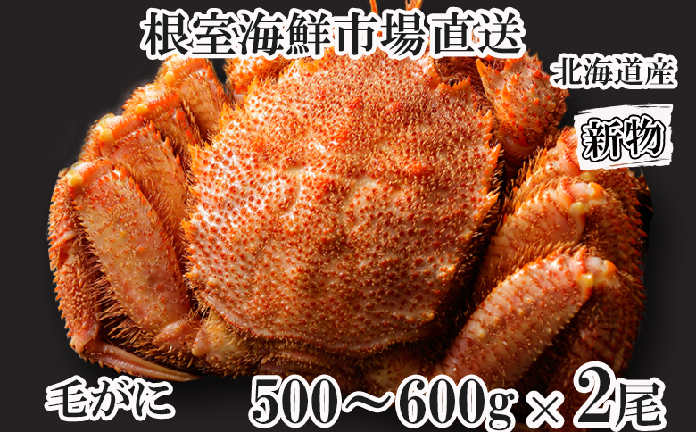 ボイル毛がに500～600g×2尾 F-11030