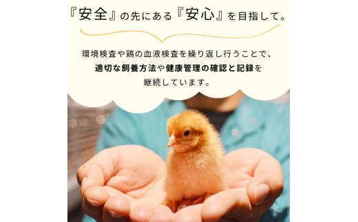 【定期便3回】九十九里ファームこだわりたまご贈答用30個～あおい海・みどりの里～