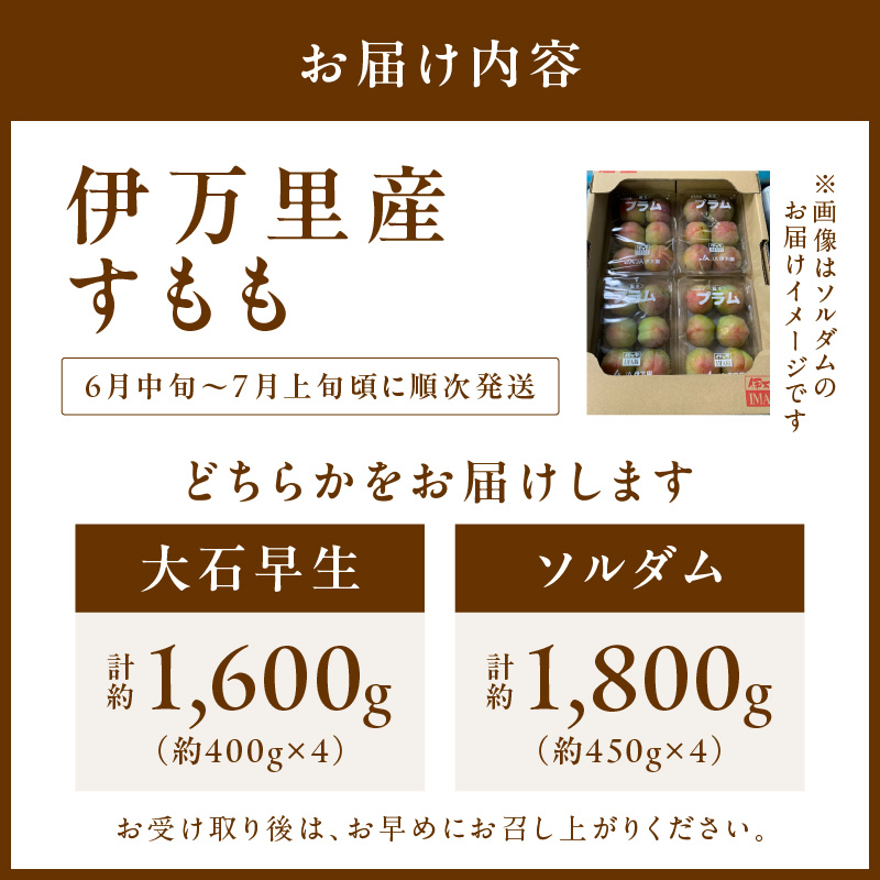 【先行予約】伊万里のすもも「大石早生・ソルダム」 B728