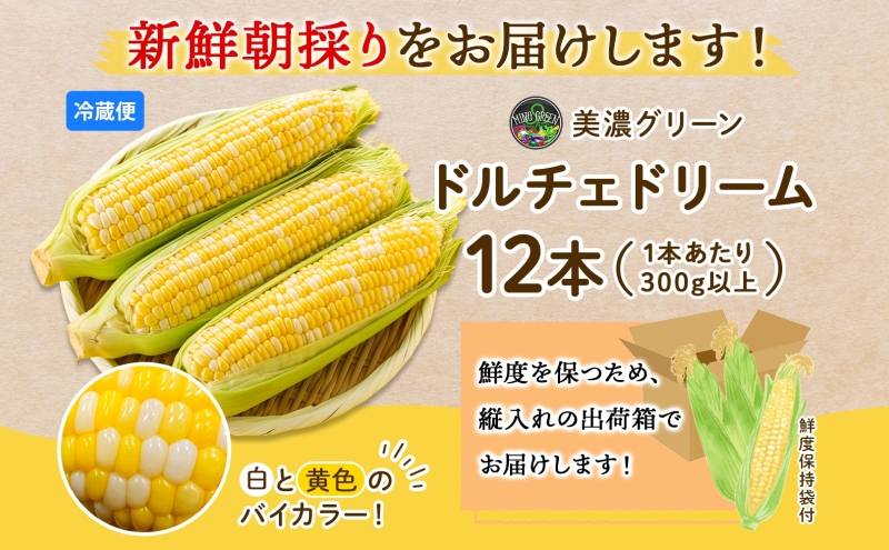 とうもろこし ドルチェドリーム 300g以上×12本 約3.6kg コーン もろこし バイカラー 白 黄 低農薬 高糖度 18度 甘い ジューシー 野菜 おやつ 旬 産地直送 送料無料 美濃グリーン 